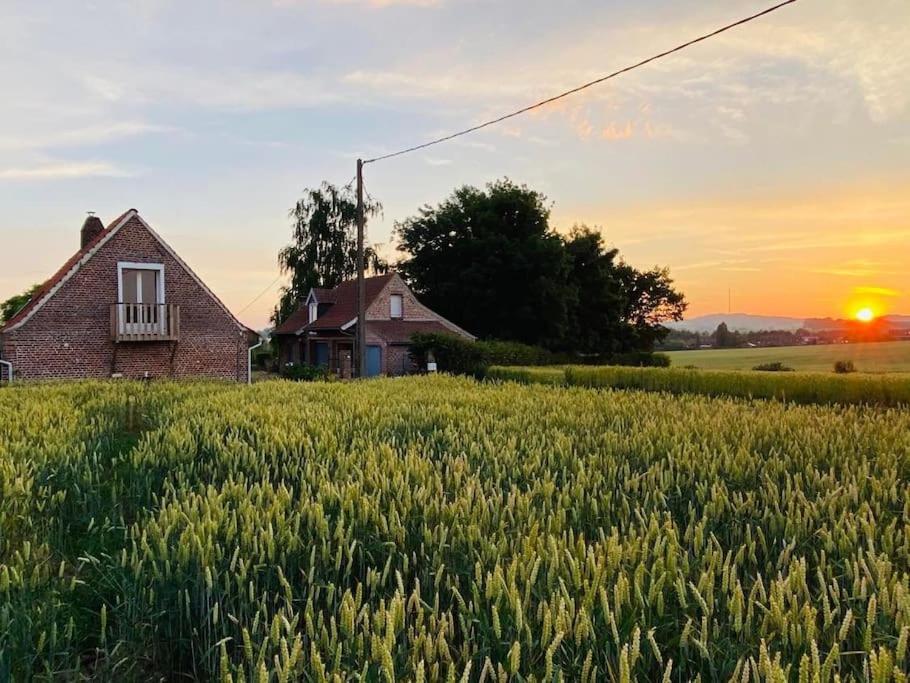 Cottage Chaleureux Au Coeur Des Monts De Flandres Saint-Jans-Cappel Экстерьер фото
